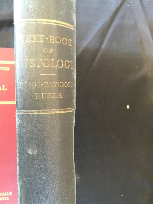 Textbook Of Histology - 1901 [Photo 1]