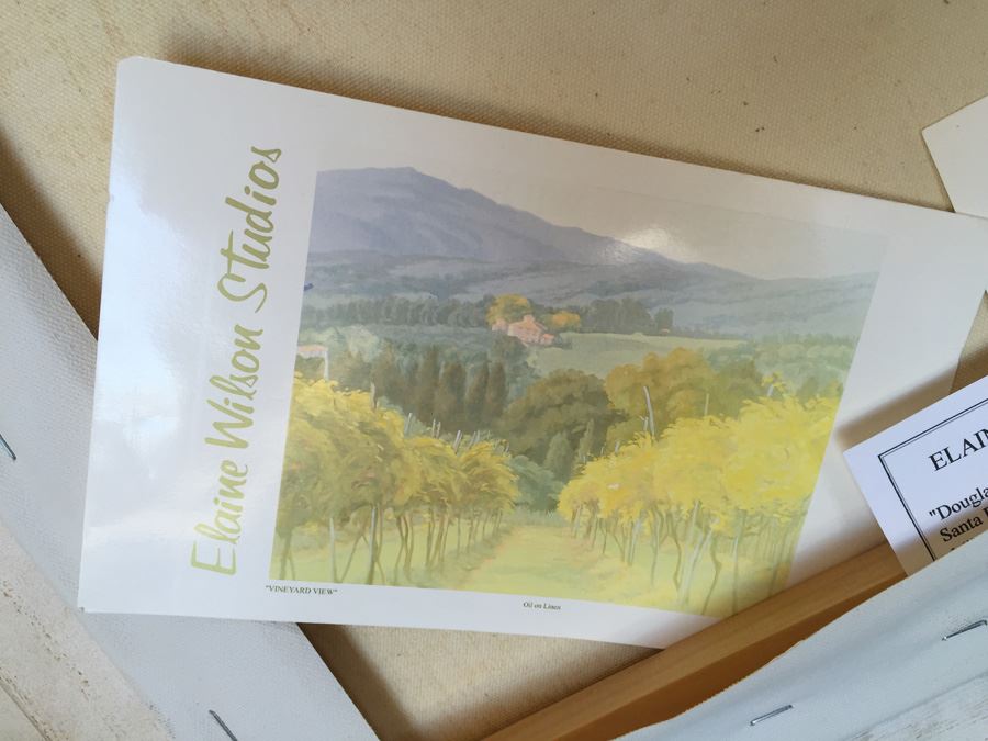 Elaine Wilson 16' x 20' Oil On Canvas Plein Air Painting 'Douglas Preserve' Santa Barbara, CA [Photo 10]