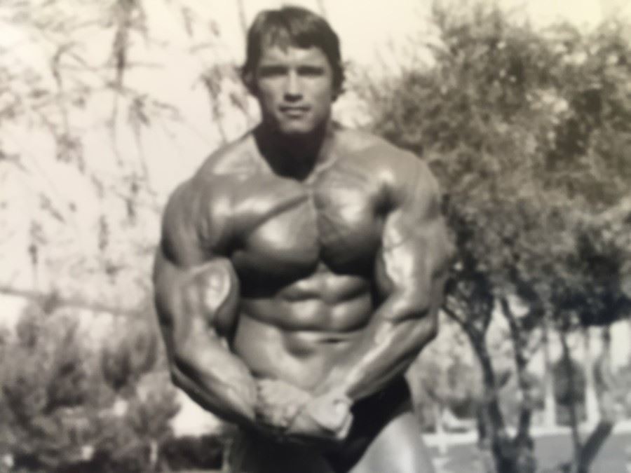 Early Arnold Schwarzenegger Period B&W Bodybuilding Photo Pre Conan the Barbarian [Photo 4]