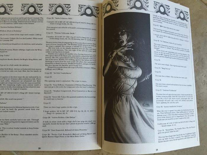 Ravenloft, I6 (Advanced Dungeons & Dragons Official Game Adventure #9075) 1983 TSR [Photo 12]