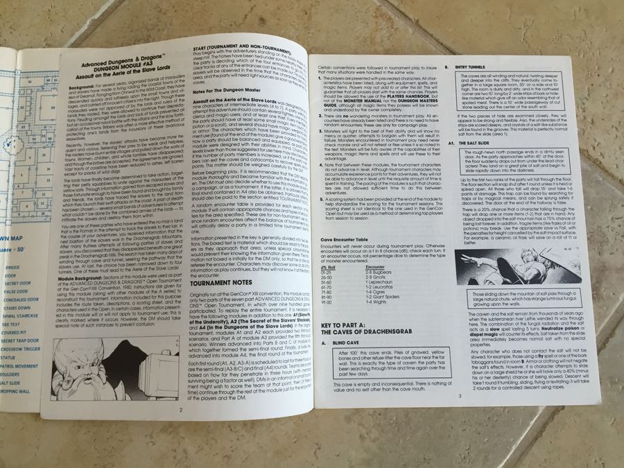 Assault on the Aerie of the Slave Lords (Advanced Dungeons & Dragons module A3) [Photo 10]