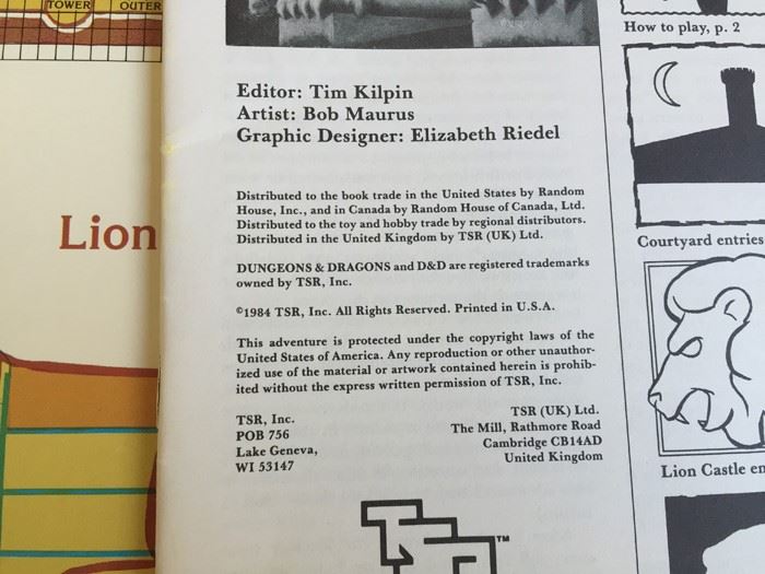Ghost of Lion Castle (Dungeons & Dragons module BSOLO) 1984 TSR [Photo 7]