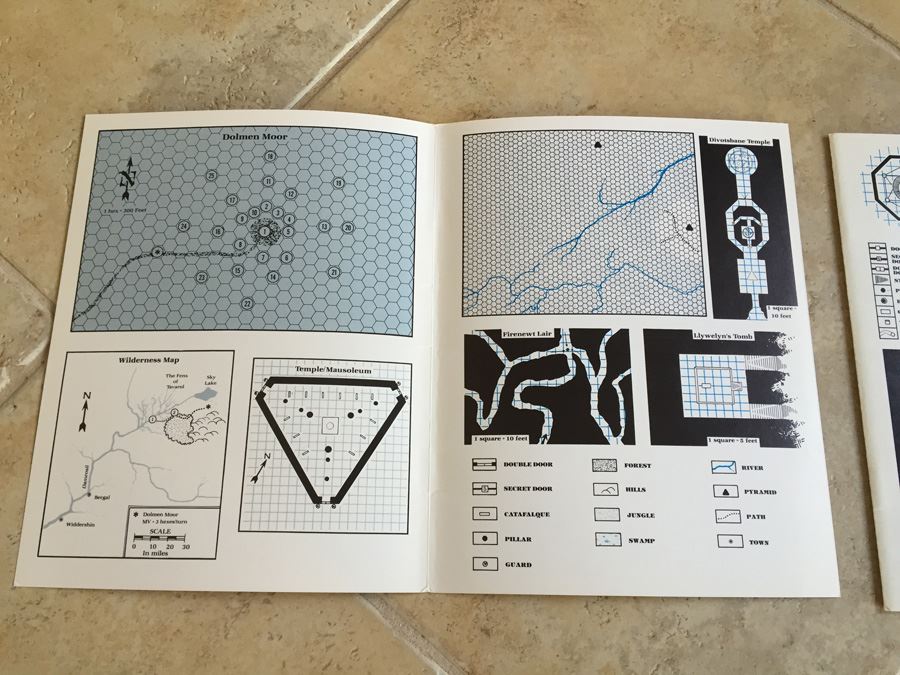 The Bane of Llywelyn (Advanced Dungeons & Dragons module C5) TSR 1985 [Photo 6]