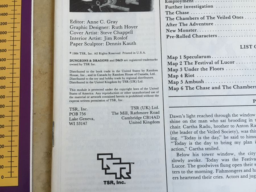 The Veiled Society (Dungeons & Dragons Module B6) TSR 1984 [Photo 9]