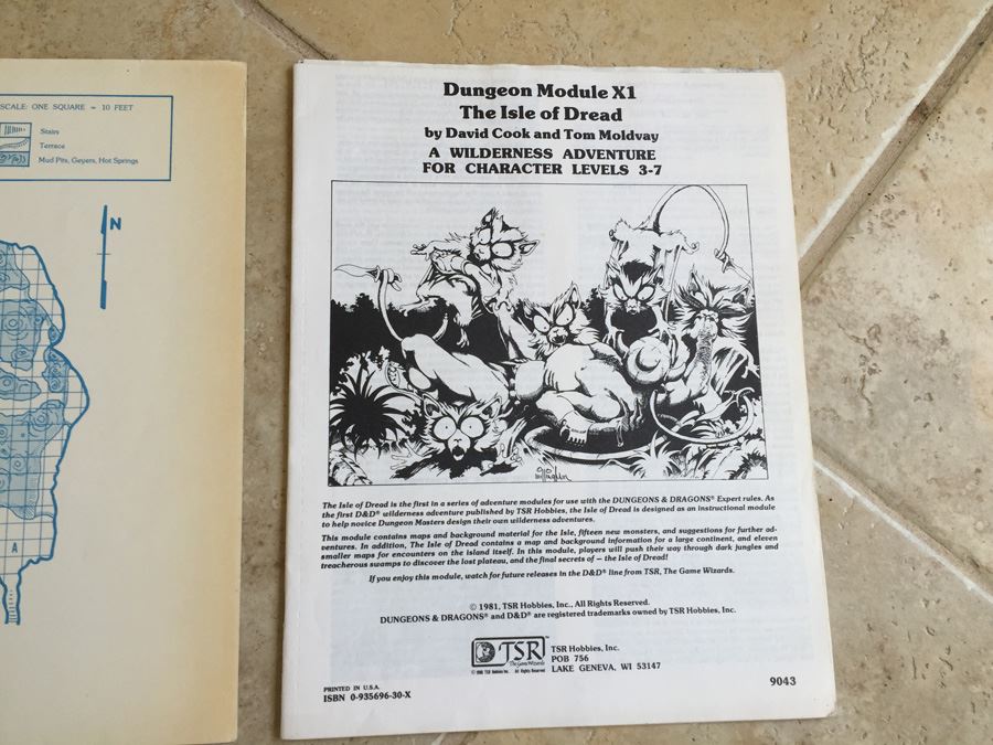 The Isle of Dread (Dungeons & Dragons Adventure, No. X1) TSR 1983 [Photo 7]