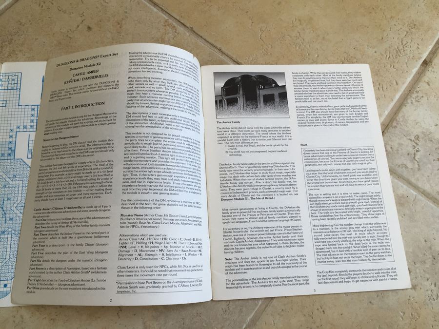 Castle Amber (Chateau d' Amberville) (Dungeons & Dragons Module X2) TSR 1981 [Photo 9]