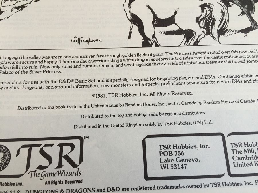 Palace of the Silver Princess: Dungeon & Dragons Module B3 TSR 1980 [Photo 8]