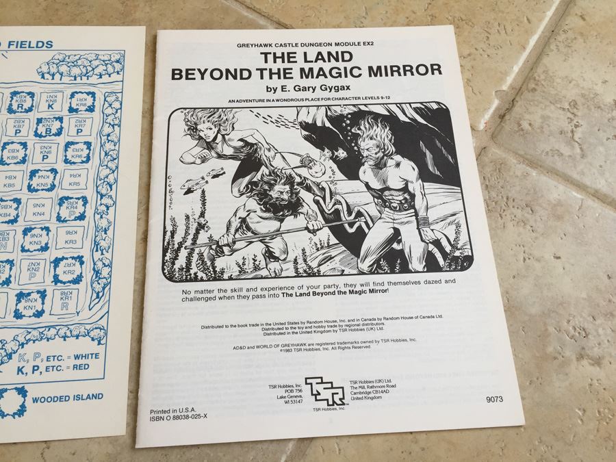 The Land Beyond the Magic Mirror (Advanced Dungeons & Dragons, Module EX2) TSR 1983 [Photo 7]