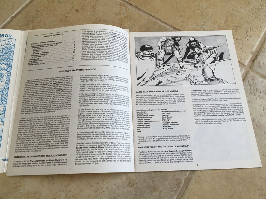 The Land Beyond the Magic Mirror (Advanced Dungeons & Dragons, Module EX2) TSR 1983 [Photo 9]