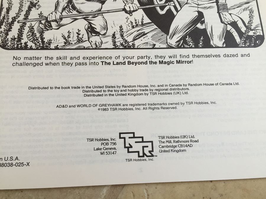 The Land Beyond the Magic Mirror (Advanced Dungeons & Dragons, Module EX2) TSR 1983 [Photo 8]