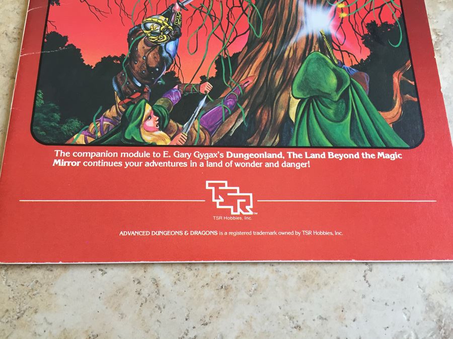 The Land Beyond the Magic Mirror (Advanced Dungeons & Dragons, Module EX2) TSR 1983 [Photo 5]