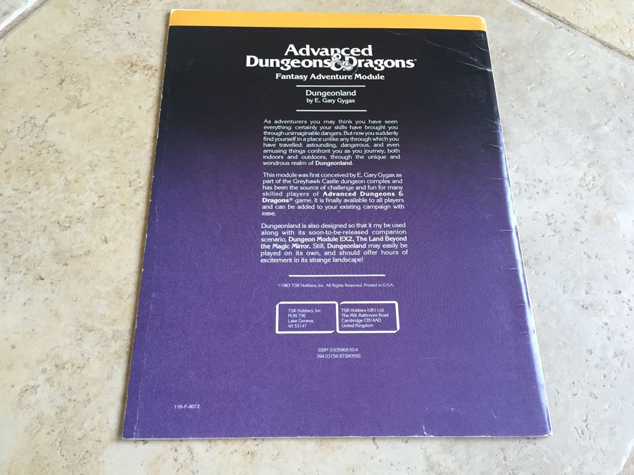Dungeonland (Advanced Dungeons & Dragons Module EX1) TSR 1983 [Photo 11]
