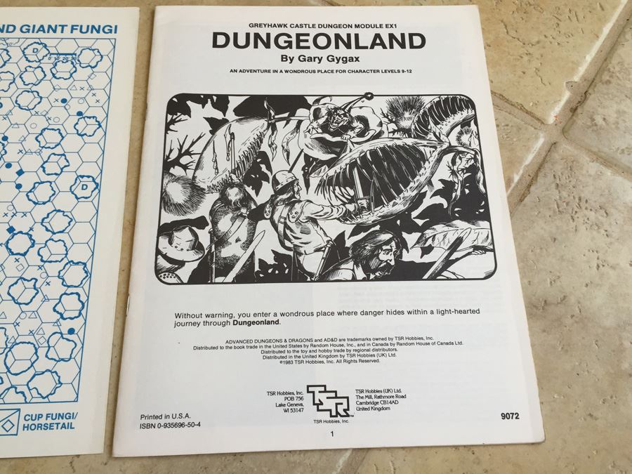 Dungeonland (Advanced Dungeons & Dragons Module EX1) TSR 1983 [Photo 7]