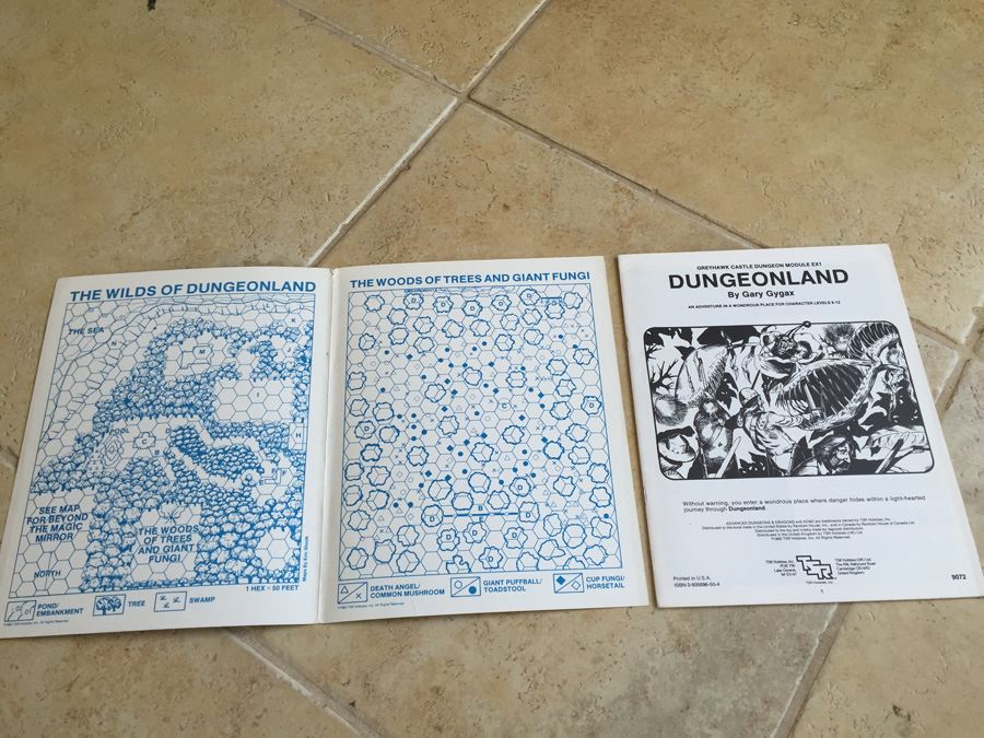 Dungeonland (Advanced Dungeons & Dragons Module EX1) TSR 1983 [Photo 3]