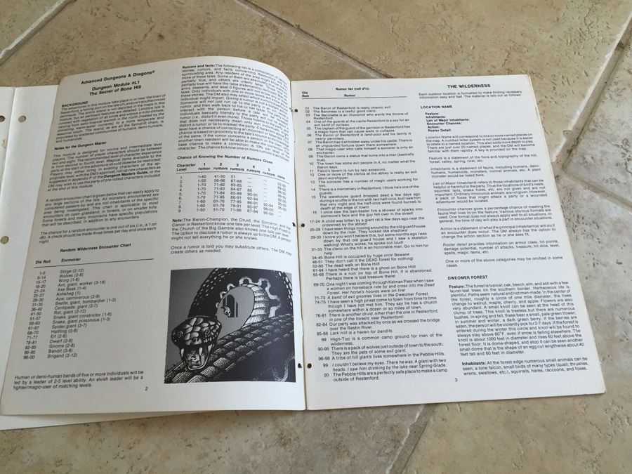 The Secret of Bone Hill (Advanced Dungeons & Dragons Module L1) TSR L1 [Photo 10]