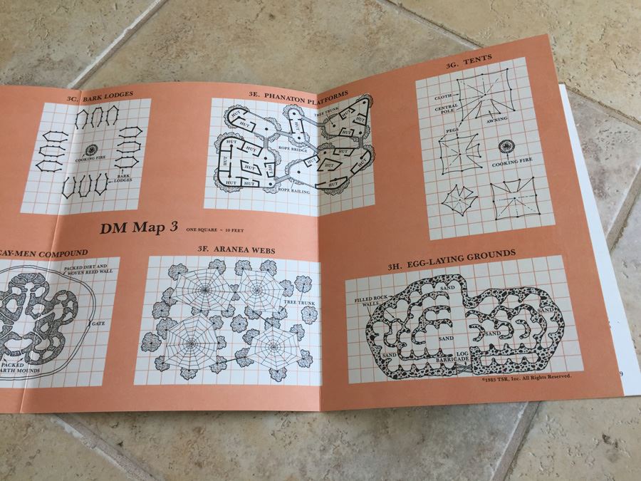The Savage Coast (Dungeons & Dragons Module X9) TSR 1985 [Photo 7]