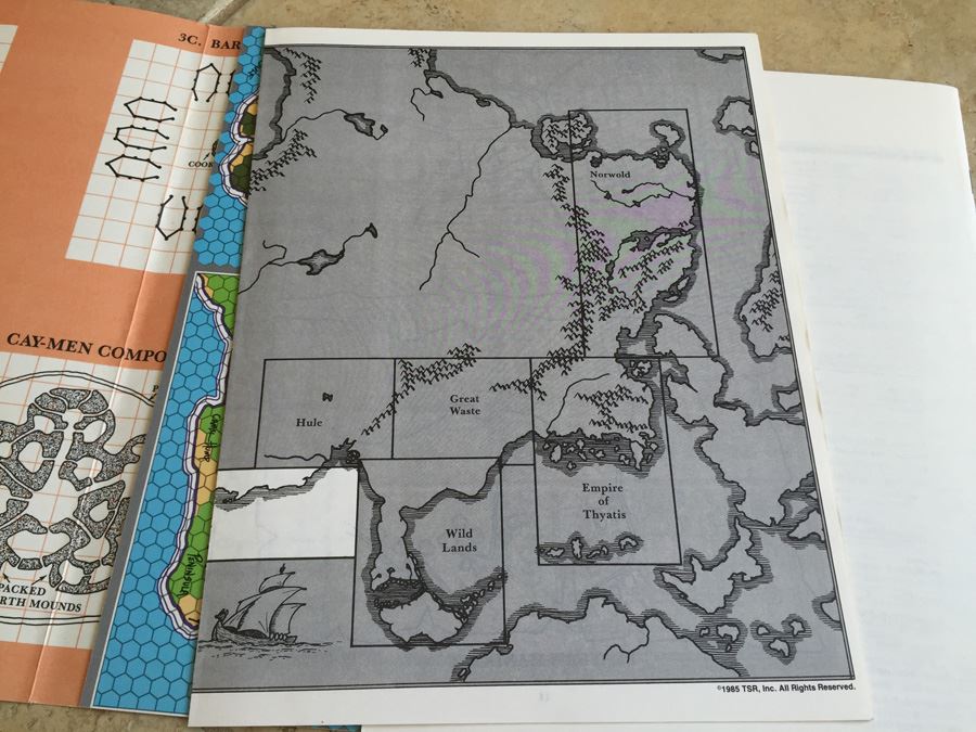 The Savage Coast (Dungeons & Dragons Module X9) TSR 1985 [Photo 13]