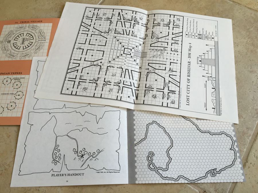 The Savage Coast (Dungeons & Dragons Module X9) TSR 1985 [Photo 12]