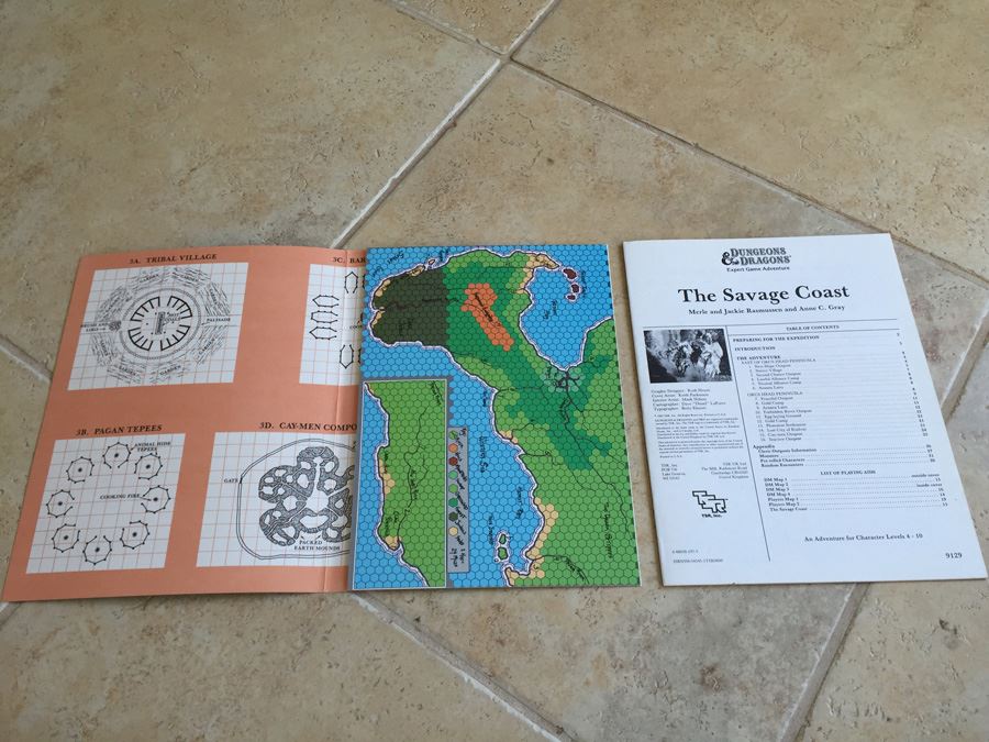 The Savage Coast (Dungeons & Dragons Module X9) TSR 1985 [Photo 3]