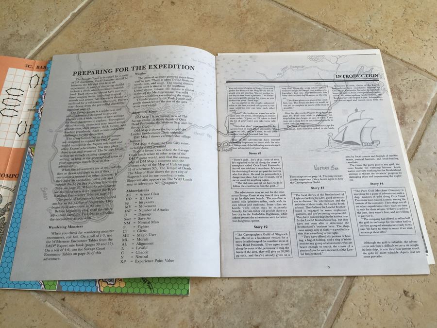 The Savage Coast (Dungeons & Dragons Module X9) TSR 1985 [Photo 10]