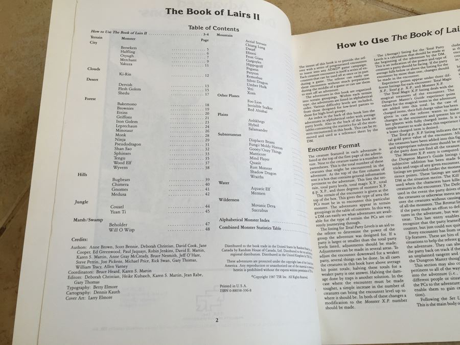 The Book of Lairs II (Advanced Dungeons & Dragons Official Game Accessory, REF4, No. 9198) TSR 1987 [Photo 3]
