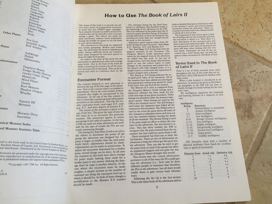 The Book of Lairs II (Advanced Dungeons & Dragons Official Game Accessory, REF4, No. 9198) TSR 1987 [Photo 7]
