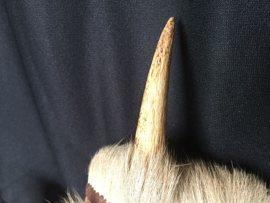 Hand Painted Hand Carved Mask [Photo 5]