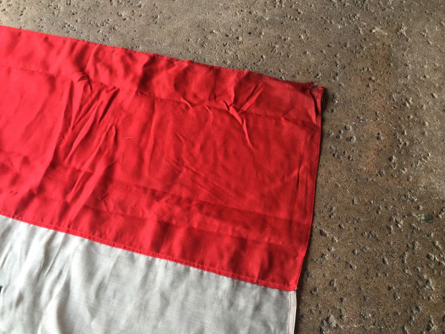 Syrian Flag From The Sixties [Photo 8]