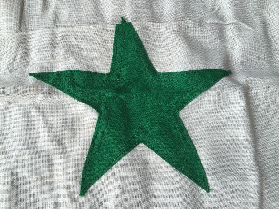 Syrian Flag From The Sixties [Photo 4]