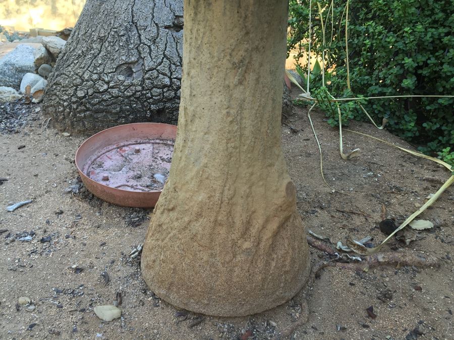 Vintage Bird Bath [Photo 3]