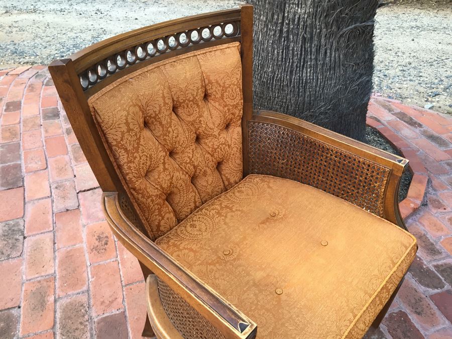 Upholstered Cane Arm Chair [Photo 7]