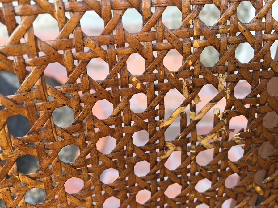 Upholstered Cane Arm Chair [Photo 11]