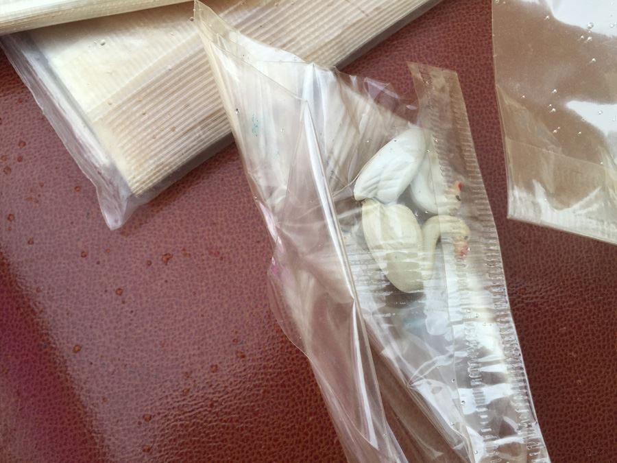 Lot Of Party Favors [Photo 9]