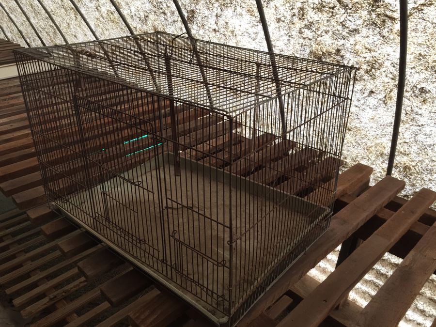 Metal Bird Animal Cage [Photo 1]