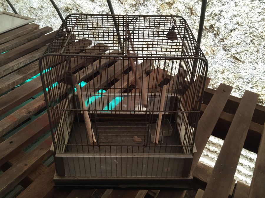 Metal Bird Animal Cage [Photo 1]