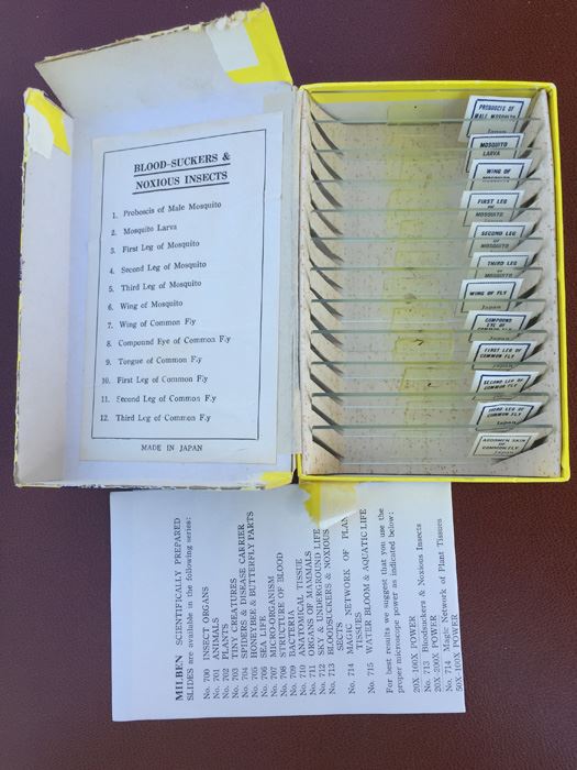 MILBEN Slides Of Assorted Blood Suckers & Noxious Insects For Young Scientists [Photo 2]