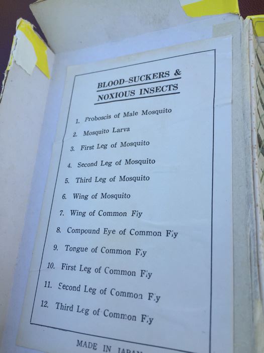 MILBEN Slides Of Assorted Blood Suckers & Noxious Insects For Young Scientists [Photo 5]