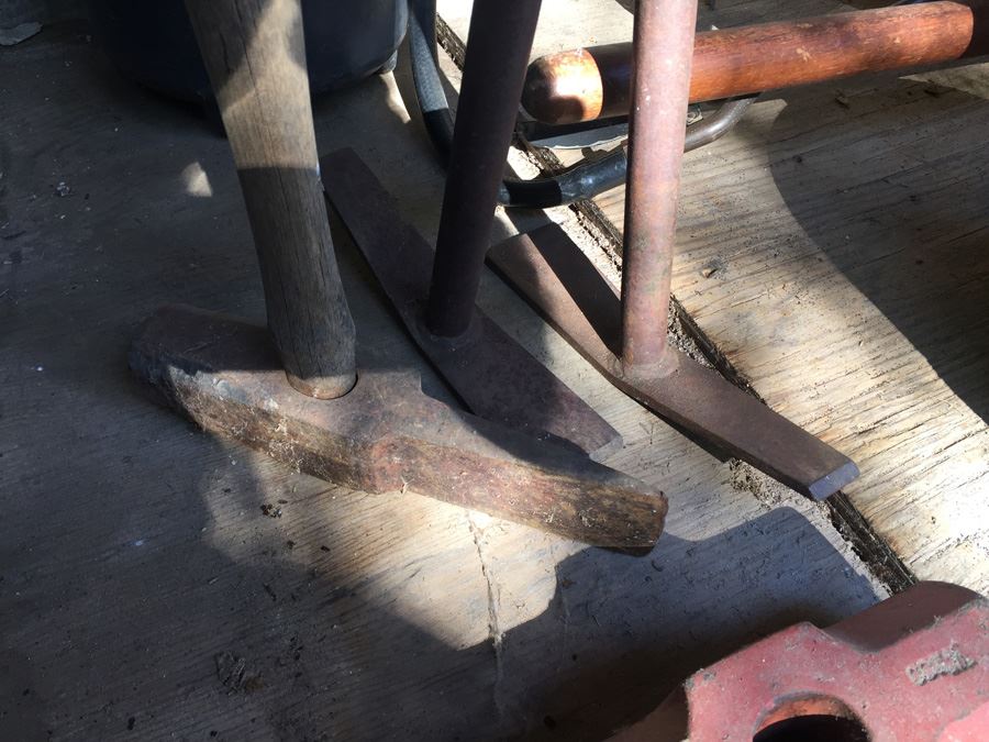 Shed Lot Filled With Garden Tools [Photo 2]