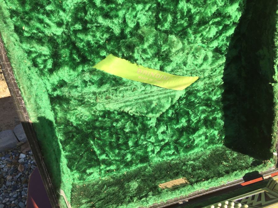 BRINDISI Italy Accordion With Case [Photo 8]