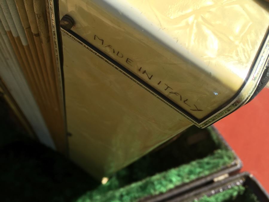 BRINDISI Italy Accordion With Case [Photo 15]