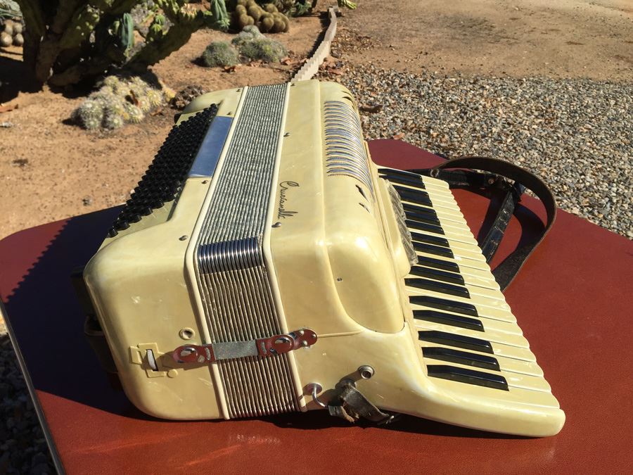 Crucianelli Accordion Italy With Case [Photo 15]