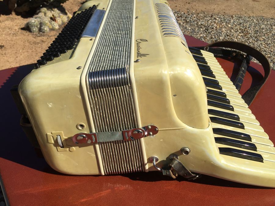 Crucianelli Accordion Italy With Case [Photo 14]