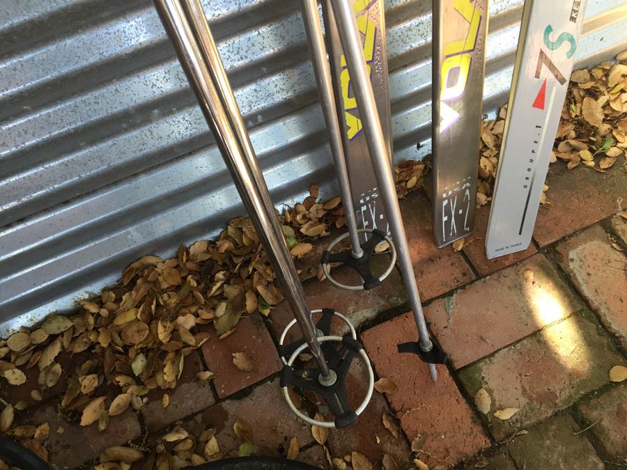 Ski And Pole Lot [Photo 5]