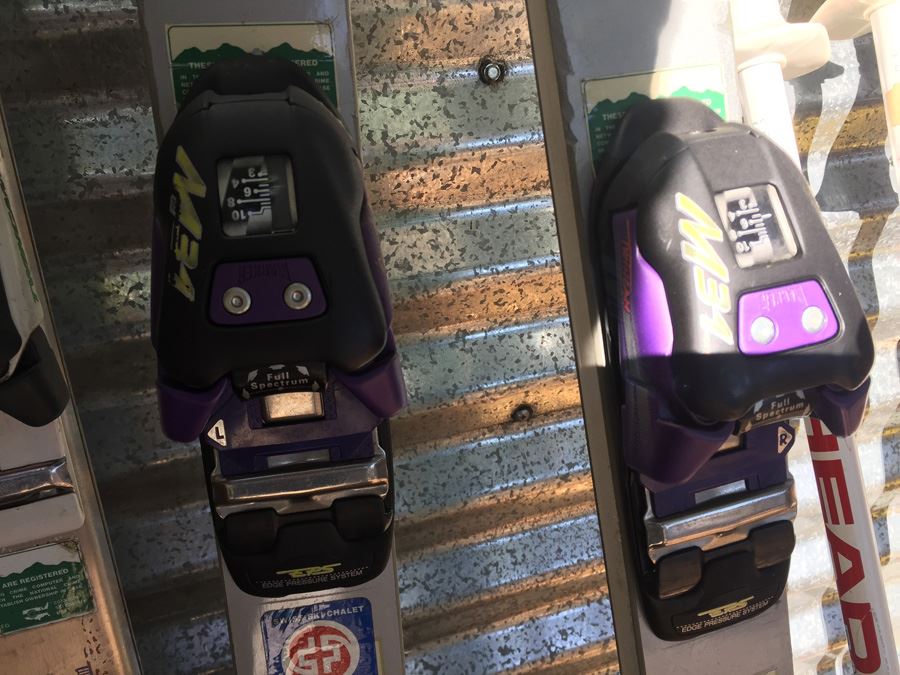 Ski And Pole Lot [Photo 8]