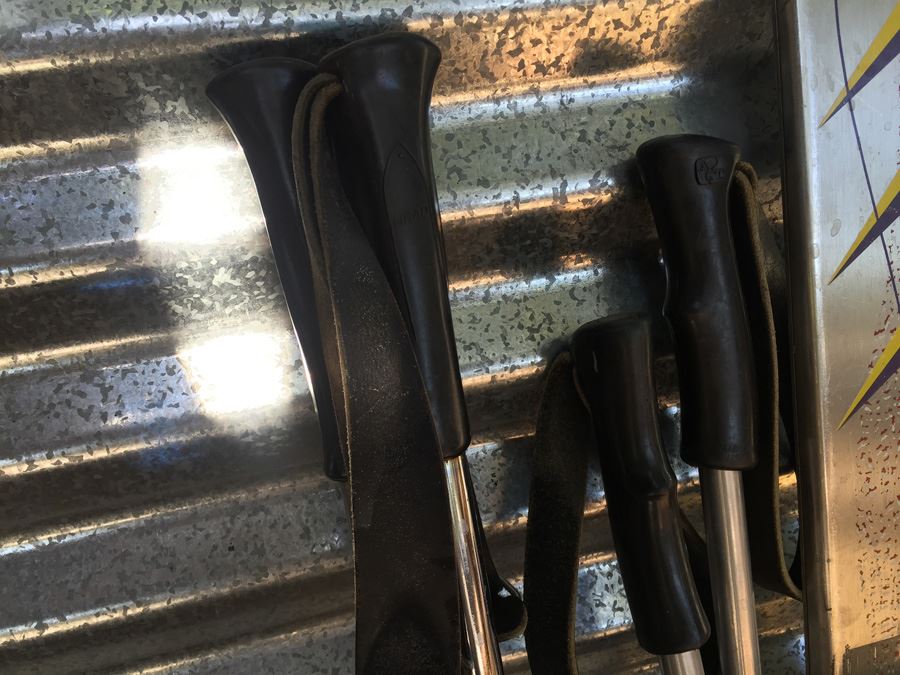 Ski And Pole Lot [Photo 4]