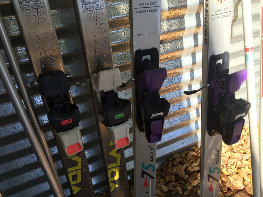 Ski And Pole Lot [Photo 2]