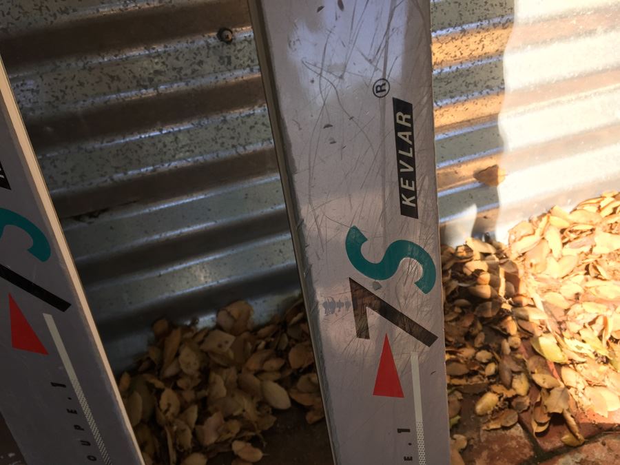 Ski And Pole Lot [Photo 7]