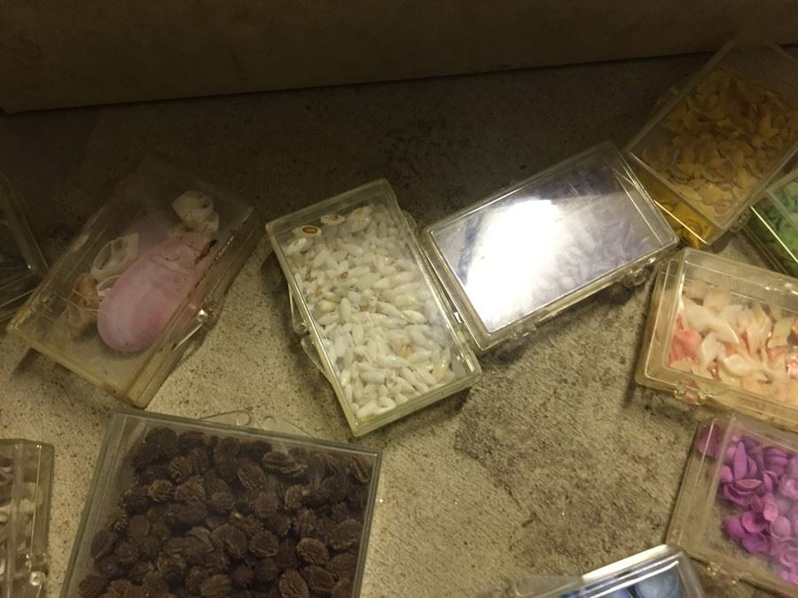 Shell Craft Lot [Photo 7]