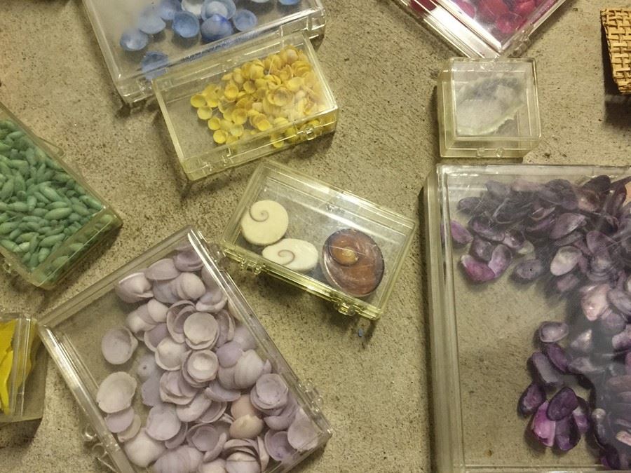 Shell Craft Lot [Photo 4]