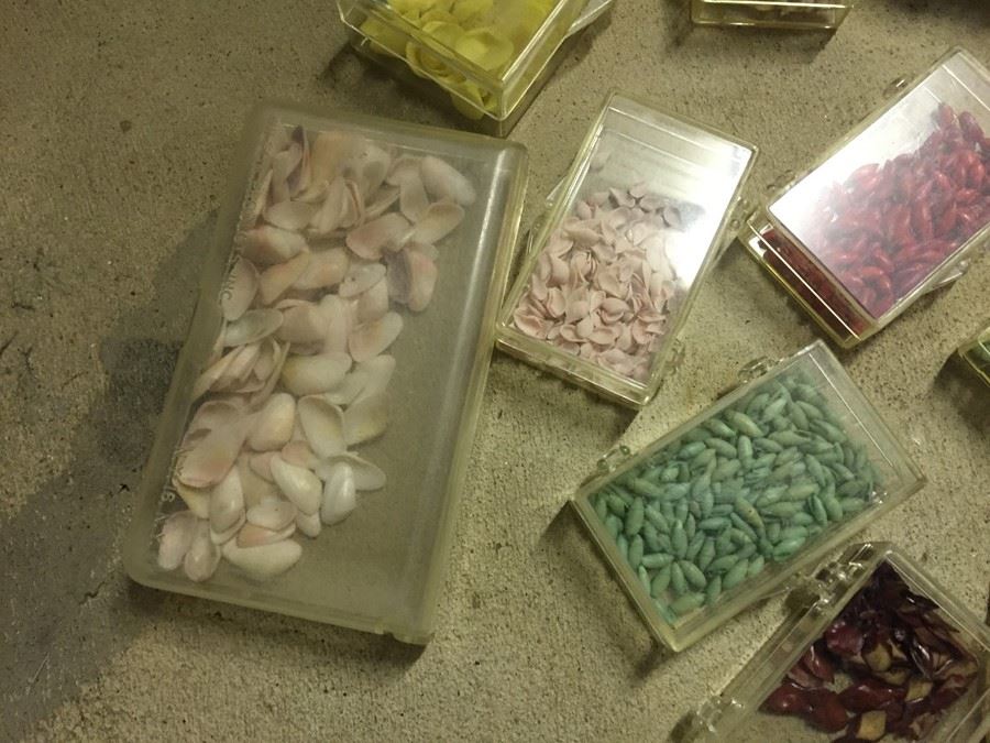 Shell Craft Lot [Photo 2]